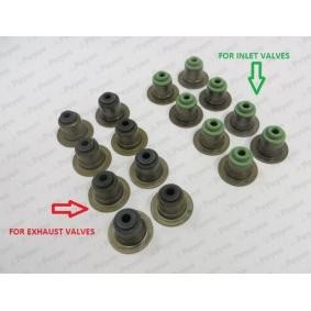 Dichtungssatz, Ventilschaft HR5063