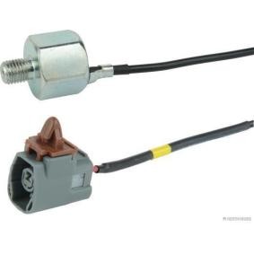 Comprar Sensor de detonaciones de HERTH+BUSS JAKOPARTS J5673001 a bajo precio de 66,01 €
