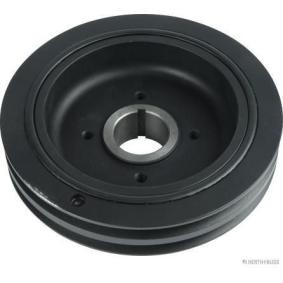 Achetez des Poulie damper (vilebrequin) HERTH+BUSS JAKOPARTS J1095000 à prix pour 110,25 €