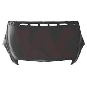 Motorhaube 3005660