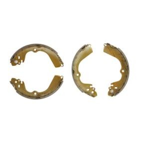 Bremsbackensatz C01065ABE