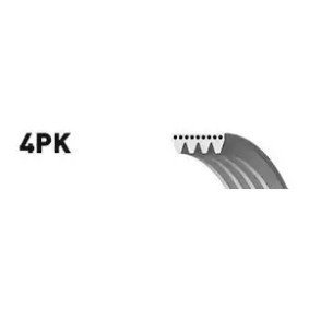 Compre Correia trapezoidal estriada da SNR CA4PK841 a um preço baixo por 7,67 €