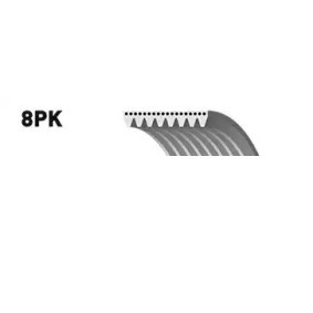 Compre Correia trapezoidal estriada da SNR CA8PK1173 a um preço baixo por 19,25 €