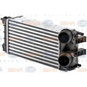 Köp Intercooler av HELLA 8ML 376 700-071 till det låga priset 2352,49 kr