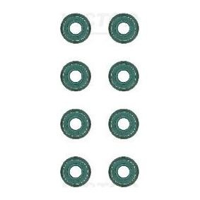 Comprar Juego de juntas, vástago de válvula de REINZ 12-33512-04 a bajo precio de 26,94 €