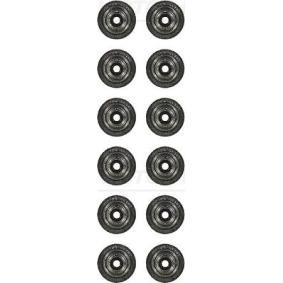 Comprar Juego de juntas, vástago de válvula de REINZ 12-38226-01 a bajo precio de 32,10 €