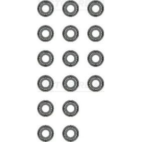 Comprar Juego de juntas, vástago de válvula de REINZ 12-52748-01 a bajo precio de 31,53 €