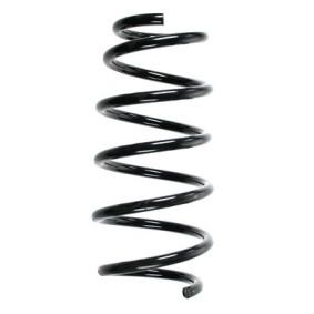Compre Mola de suspensão da SPIDAN 85329 a um preço baixo por 61,84 €