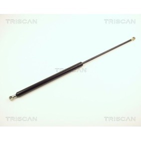 Bremstrommel 8120 10222 JEEP COMPASS von TRISCAN