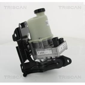 Servopumpe von TRISCAN