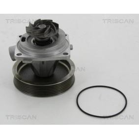 Wasserpumpe von TRISCAN