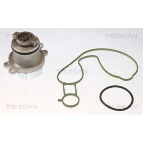 Achetez des Pompe à eau TRISCAN 8600 15037 à prix pour 82,11 €