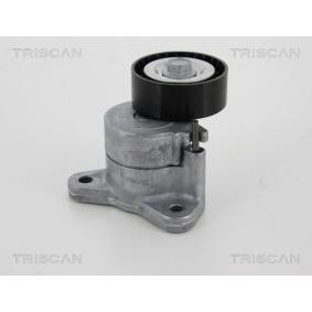 Comprar Brazo tensor, correa poli V de TRISCAN 8641 103042 a bajo precio de 81,11 €