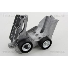 Acquista Braccio tenditore, Cinghia Poly-V da TRISCAN 8641 163020 a buon mercato per soli 131,24 €