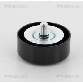Comprar Polea inversión / guía, correa poli V de TRISCAN 8641 212002 a bajo precio de 28,33 €