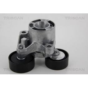 Comprar Polea tensora, correa poli V de TRISCAN 8641 231026 a bajo precio de 132,74 €