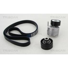 Achetez des Jeu de courroies trapézoïdales à nervures TRISCAN 8642 28021 à prix pour 133,92 €