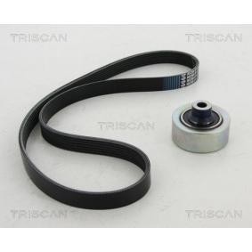 Achetez des Jeu de courroies trapézoïdales à nervures TRISCAN 8642 28023 à prix pour 97,00 €
