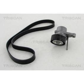Achetez des Kit de courroie d'accessoire de chez TRISCAN en ligne pour C3 Aircross I à prix modérés