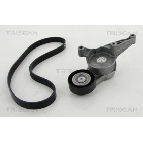 Achetez des Jeu de courroies trapézoïdales à nervures TRISCAN 8642 29012 à prix pour 75,73 €