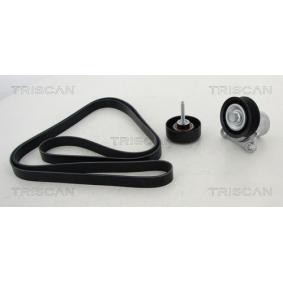 Achetez des Jeu de courroies trapézoïdales à nervures TRISCAN 8642 50001 à prix pour 265,75 €