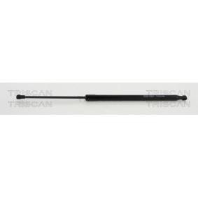 Heckklappendämpfer 8710 292019 von TRISCAN günstig für 29,31 € online kaufen