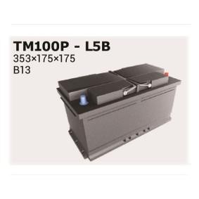 Achetez des Batterie IPSA TM100P à prix pour 115,11 €