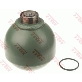 Druckspeicher, Federung / Dämpfung von TRW günstig für 35,28 €