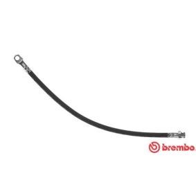 Bremsschlauch von BREMBO günstig für 11,23 €