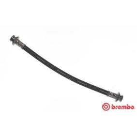 Bremsschlauch T 79 014