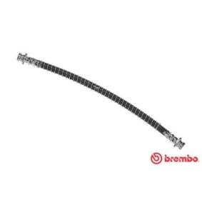Comprar Latiguillo de freno de BREMBO T 54 016 a bajo precio de 19,67 €