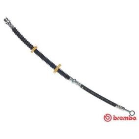 Comprar Latiguillo de freno de BREMBO T 44 031 a bajo precio de 27,05 €