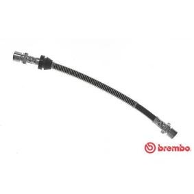 Osta Jarruletku BREMBO:llä T 10 010 edullisesti hintaan 12,19 €