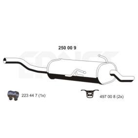 Endschalldämpfer 250009 von ERNST günstig für 166,57 € online kaufen
