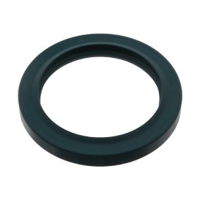 Acquista Anello tenuta, Differenziale da FEBI BILSTEIN 40073 a buon mercato per soli 9,70 €