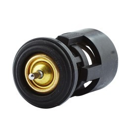 Kühlwasserthermostat von HELLA