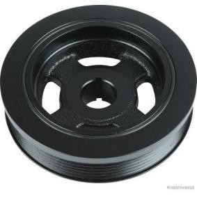 Achetez des Poulie damper (vilebrequin) HERTH+BUSS JAKOPARTS J1092000 à prix pour 76,42 €