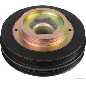 Achetez des Poulie damper (vilebrequin) HERTH+BUSS JAKOPARTS J1094008 à prix pour 126,12 €