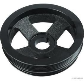 Achetez des Poulie damper (vilebrequin) HERTH+BUSS JAKOPARTS J1095002 à prix pour 113,88 €