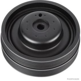Achetez des Poulie damper (vilebrequin) HERTH+BUSS JAKOPARTS J1095006 à prix pour 105,24 €