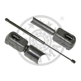 Heckklappendämpfer AG-17072