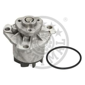 Achetez des Pompe à eau OPTIMAL AQ-1060 à prix pour 109,00 €