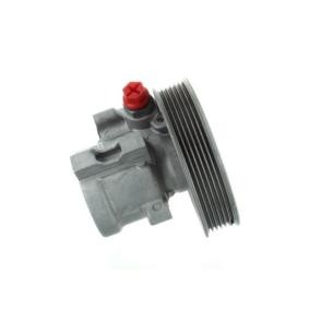 Servopumpe 54660