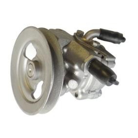 Servopumpe 54649
