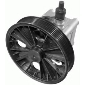 Servopumpe 8001 533 von ZF LENKSYSTEME günstig für 372,44 € online kaufen