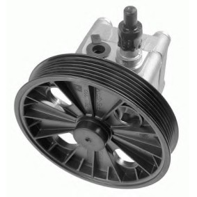 Servopumpe 8001 844 von ZF LENKSYSTEME günstig für 393,68 € online kaufen