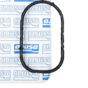 Osta Tiiviste, alipainepumppu AJUSA:llä 01119600 edullisesti hintaan 11,57 €