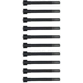 Compre Jogo de parafusos da cabeça do motor da REINZ 14-55096-01 a um preço baixo por 44,06 €