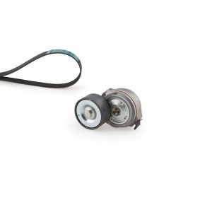 Achetez des Kit de courroie d'accessoire de chez GATES en ligne pour Freemont (345) à prix modérés