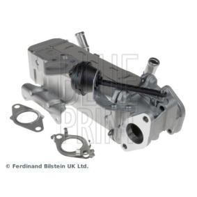 Osta EGR-jäähdytin BLUE PRINT:llä ADG072505 edullisesti hintaan 715,59 €
